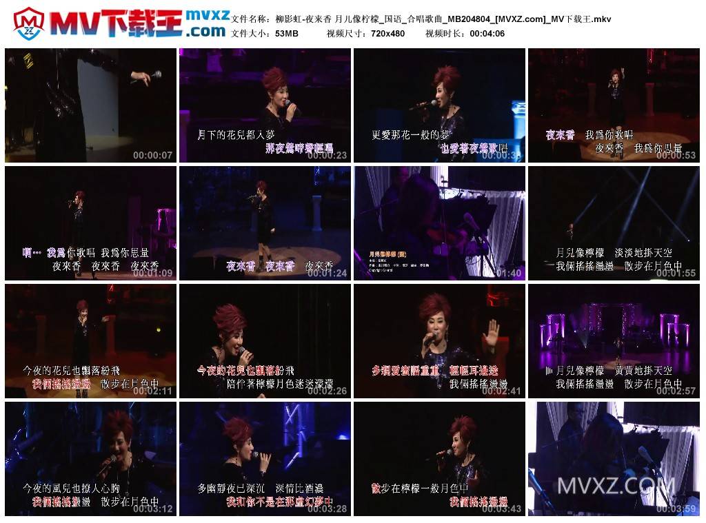 柳影虹-夜来香 月儿像柠檬_国语_合唱歌曲_MB204804